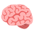 Improves Memory & Clarity